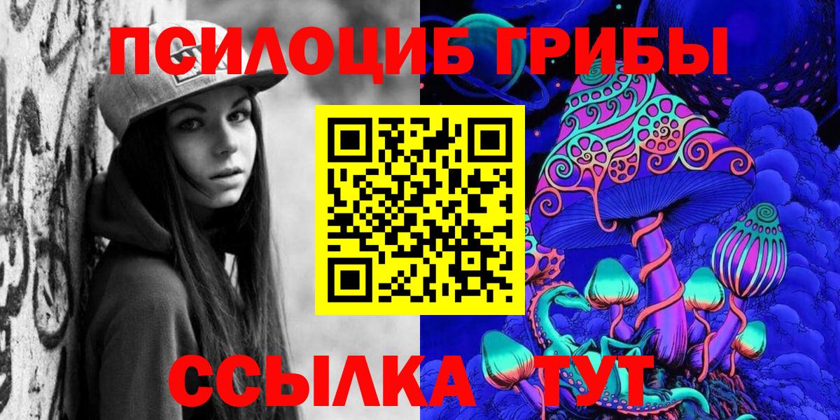 Губкин  Галлюциногенные грибы Magic Shrooms  где продают наркотики  Вход с VPN  Галлюциногенные грибы Psilocybine cubensis 