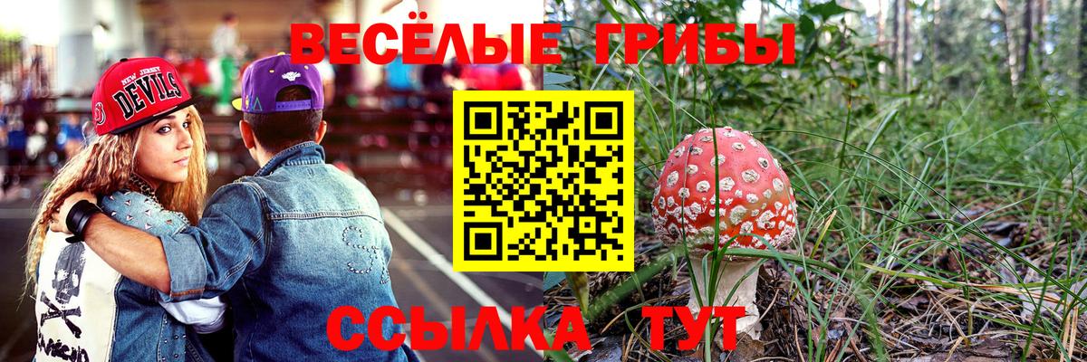 Псилоцибиновые грибы мицелий Губкин